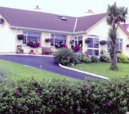 The Yellow Rose B&B Belderg Exteriör bild