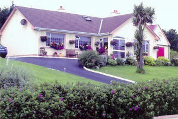 The Yellow Rose B&B Belderg Exteriör bild