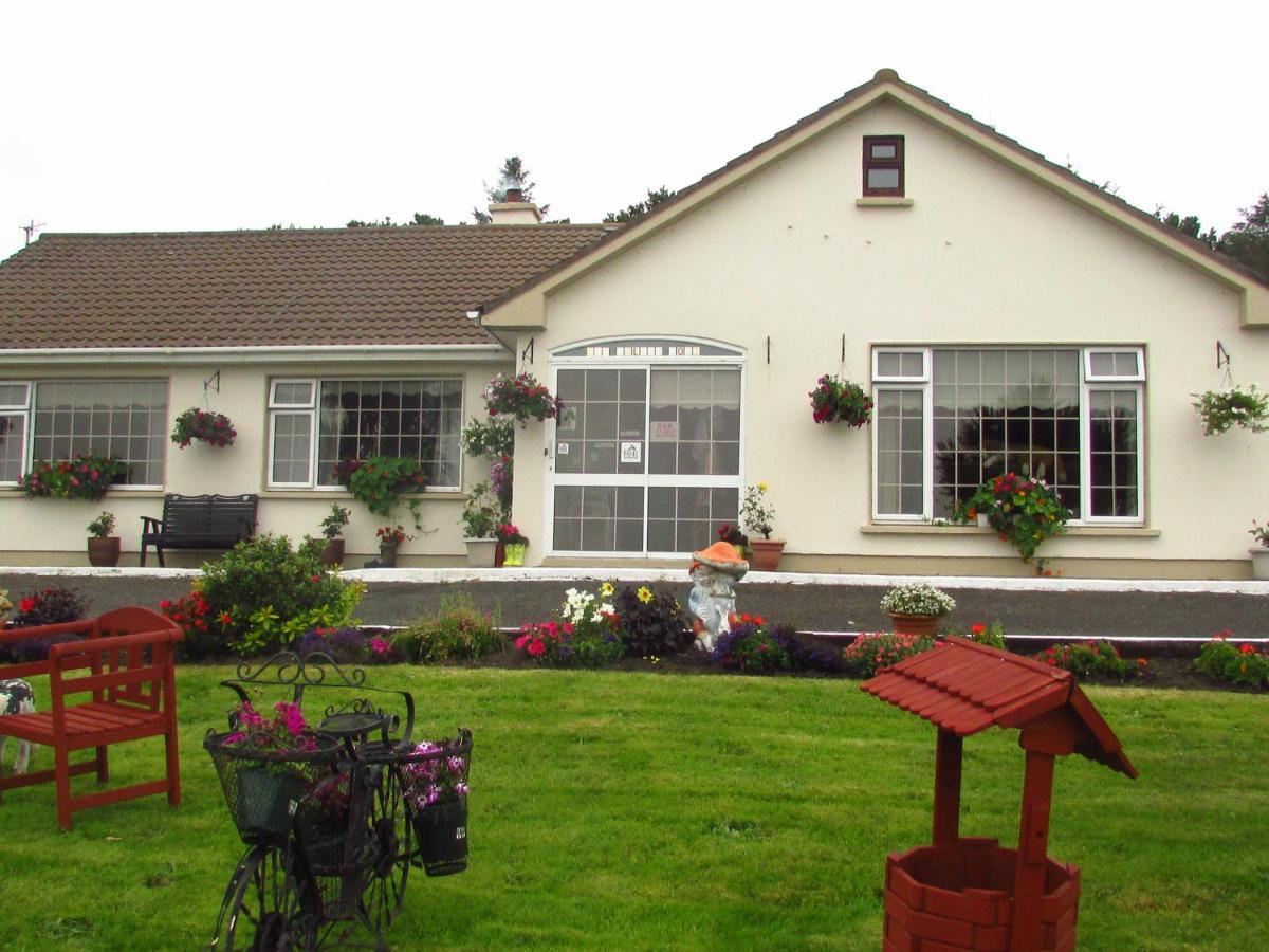 The Yellow Rose B&B Belderg Exteriör bild